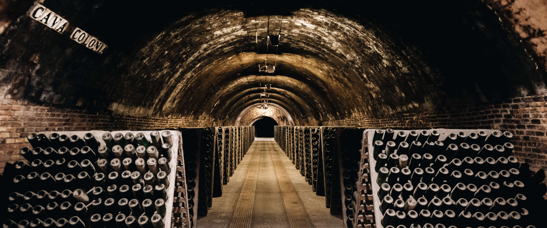 Cellar (38) (2) (1).jpg